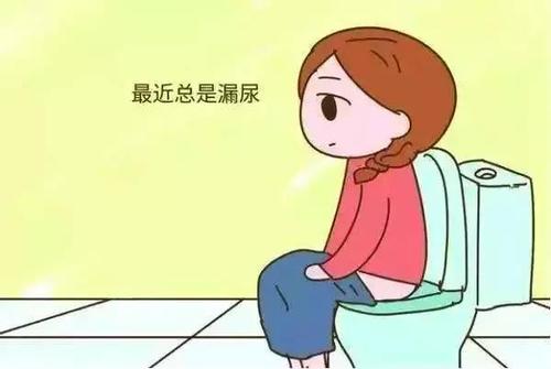 总是漏尿